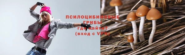 трава Кинешма