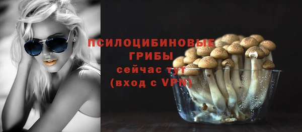 трава Кинешма