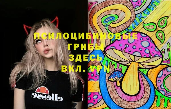 крисы Киреевск