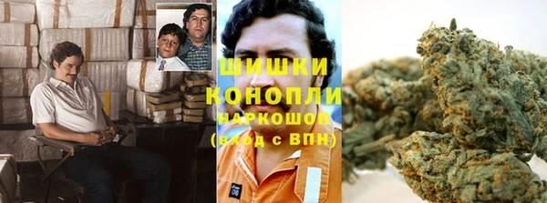 трава Кинешма